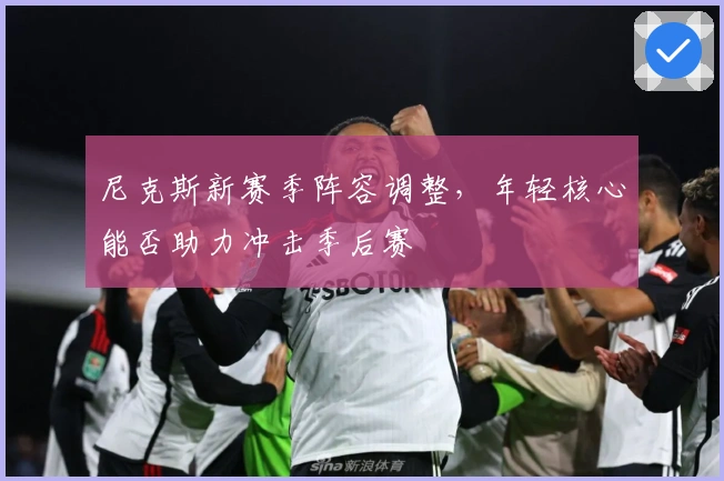 尼克斯新赛季阵容调整，年轻核心能否助力冲击季后赛