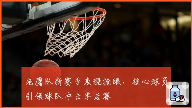 老鹰队新赛季表现抢眼,核心球员引领球队冲击季后赛