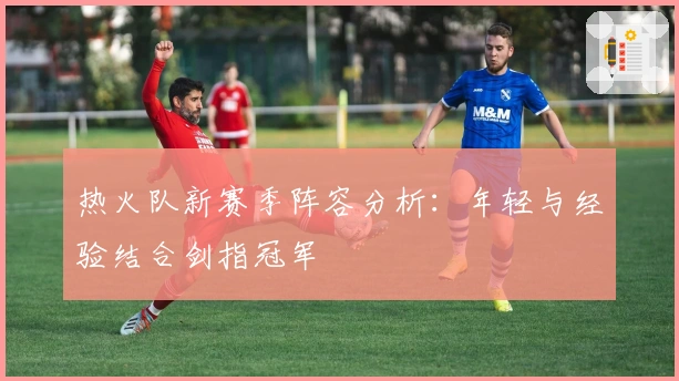 热火队新赛季阵容分析：年轻与经验结合剑指冠军