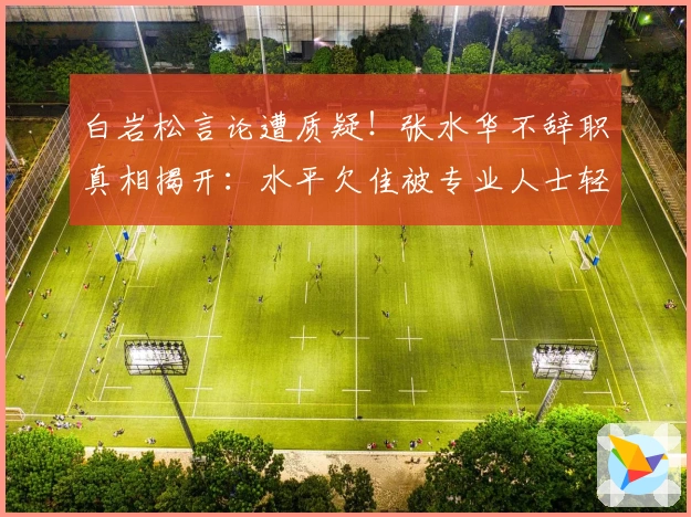 白岩松言论遭质疑！张水华不辞职真相揭开：水平欠佳被专业人士轻视