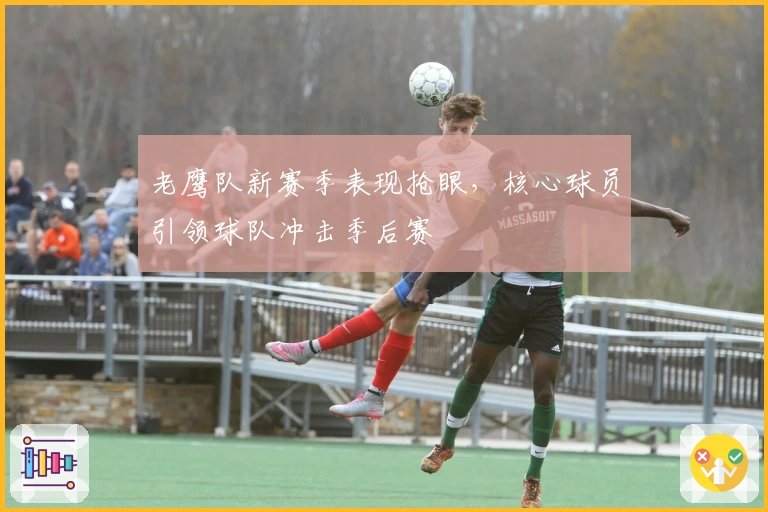 老鹰队新赛季表现抢眼，核心球员引领球队冲击季后赛